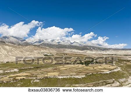 "Barren cultivated landscape, villages of Thinggar, left, and Phuwa, right, Dongmar mountains, Mustang Himal, Upper Mustang, Lo, Himalayas, Nepal, Asia" View Large Photo Image Stock Photograph - "Barren cultivated landscape, villages of Thinggar, left, and Phuwa, right, Dongmar mountains, Mustang Himal, Upper Mustang, Lo, Himalayas, Nepal, Asia". Fotosearch