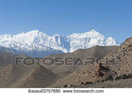 "Barren hilly landscape, the snow-covered Mt Nilgiri North, 7061 m, at back, Annapurna Range near Samar, Upper Mustang, Lo, Nepal, Asia" View Large Photo Image Stock Image - "Barren hilly landscape, the snow-covered Mt Nilgiri North, 7061 m, at back, Annapurna Range near Samar, Upper Mustang, Lo, Nepal, Asia". Fotosearch