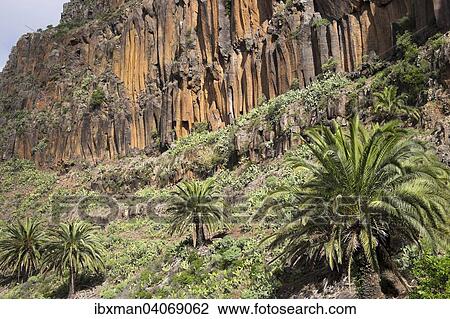"Basalt columns, Lomo del Carreton, near Arure, Valle Gran Rey, La Gomera, Canary Islands, Spain, Europe" View Large Photo Image Stock Image - "Basalt columns, Lomo del Carreton, near Arure, Valle Gran Rey, La Gomera, Canary Islands, Spain, Europe". Fotosearch