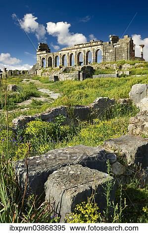 "Basilica, 3rd century, archaeological site, Volubilis, UNESCO World Heritage Site, near Meknes, Morocco, Africa" View Large Photo Image Stock Photography - "Basilica, 3rd century, archaeological site, Volubilis, UNESCO World Heritage Site, near Meknes, Morocco, Africa". Fotosearch