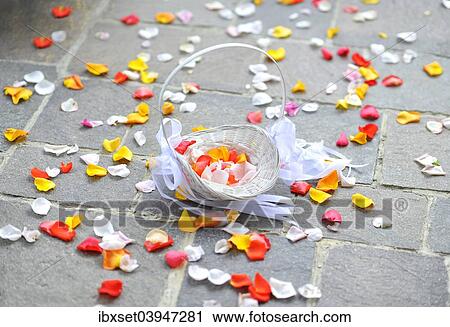 Basket with colorful petals View Large Photo Image Stock Image - Basket with colorful petals. Fotosearch