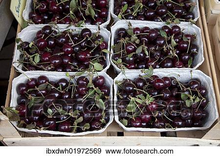 Baskets of cherries at a market stall View Large Photo Image Stock Photo - Baskets of cherries at a market stall. Fotosearch