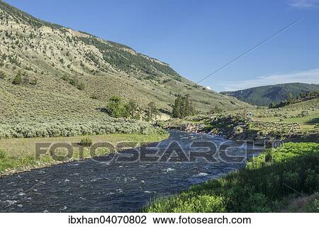 "Bathing site of Boiling River, Mammoth Hot Springs, Yellowstone National Park, Wyoming, United States, North America" View Large Photo Image Stock Image - "Bathing site of Boiling River, Mammoth Hot Springs, Yellowstone National Park, Wyoming, United States, North America". Fotosearch