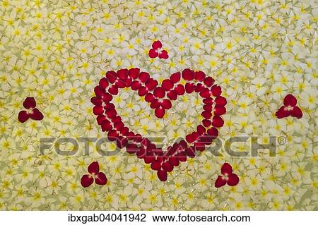 "Bathtub covered with flower petals, Ubud, Bali, Indonesia, Asia" View Large Photo Image Stock Image - "Bathtub covered with flower petals, Ubud, Bali, Indonesia, Asia". Fotosearch