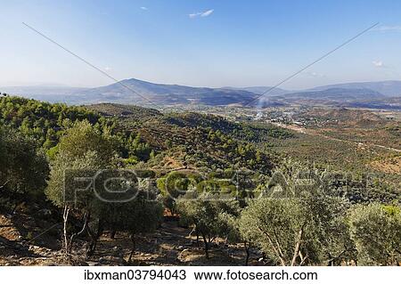 "Bati Mentese Daglari mountain range in Milas, Mugla Province, Caria, Aegean, Turkey, Asia" View Large Photo Image Stock Image - "Bati Mentese Daglari mountain range in Milas, Mugla Province, Caria, Aegean, Turkey, Asia". Fotosearch