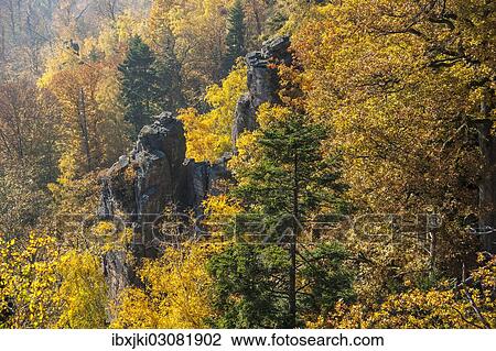 "Battertfelsen rocks in autumn, Battert mountain, Schwarzwald, Baden-Baden, Baden-Wurttemberg, Germany, Europe" View Large Photo Image Stock Image - "Battertfelsen rocks in autumn, Battert mountain, Schwarzwald, Baden-Baden, Baden-Wurttemberg, Germany, Europe". Fotosearch