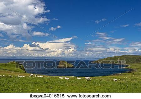 "Bay on the Trotternish peninsula, Isle of Skye, Inner Hebrides, Scotland, United Kingdom, Europe" View Large Photo Image Stock Photography - "Bay on the Trotternish peninsula, Isle of Skye, Inner Hebrides, Scotland, United Kingdom, Europe". Fotosearch