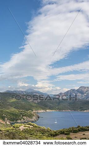 "Bay with a sailing boat, coastal and mountain scenery, Gulf of Porto, Corsica, France, Europe" View Large Photo Image Picture - "Bay with a sailing boat, coastal and mountain scenery, Gulf of Porto, Corsica, France, Europe". Fotosearch