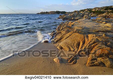 "Beach and rocky coastline, Isola Maddalena, Arcipelago di La Maddalena National Park, Sardinia, Italy, Europe" View Large Photo Image Stock Image - "Beach and rocky coastline, Isola Maddalena, Arcipelago di La Maddalena National Park, Sardinia, Italy, Europe". Fotosearch