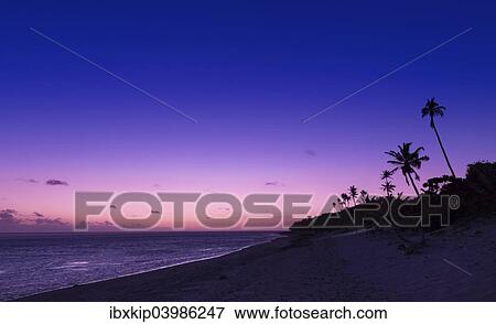 "Beach at sunset, The Coral Coast, Viti Levu Island, Fiji, Oceania" View Large Photo Image Stock Photo - "Beach at sunset, The Coral Coast, Viti Levu Island, Fiji, Oceania". Fotosearch