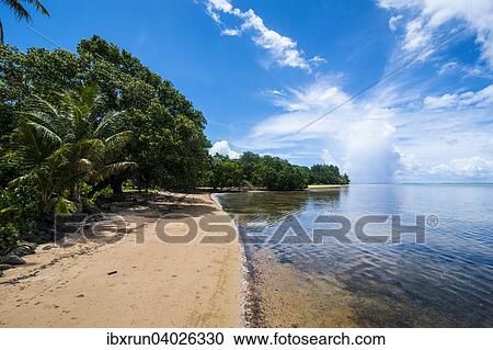 Stock Image - "Beach, Babeldoab island, Palau, Micronesia, Oceania". Fotosearch
