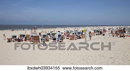 "Beach chairs on the sand beach, Baltrum, East Frisian Islands, East Frisia, Lower Saxony, Germany, Europe" View Large Photo Image Stock Photography - "Beach chairs on the sand beach, Baltrum, East Frisian Islands, East Frisia, Lower Saxony, Germany, Europe". Fotosearch
