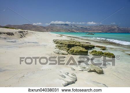 "Beach in Shuab Bay, island of Socotra, Yemen, Asia" View Large Photo Image Stock Image - "Beach in Shuab Bay, island of Socotra, Yemen, Asia". Fotosearch