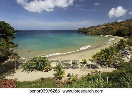 Stock Photography - "Beach, lagoon, Bloody Bay, Trinidad and Tobago, North America". Fotosearch