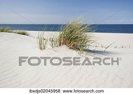 Stock Photo - "Beach, List, Sylt island, Schleswig-Holstein, Germany, Europe". Fotosearch