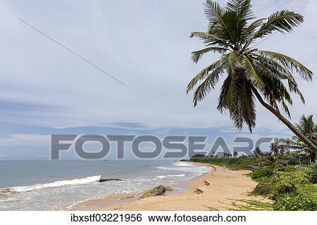 "Beach, Maha Induruwa, Westkuste, Westprovinz, Sri Lanka, Asia" View Large Photo Image Stock Photograph - "Beach, Maha Induruwa, Westkuste, Westprovinz, Sri Lanka, Asia". Fotosearch