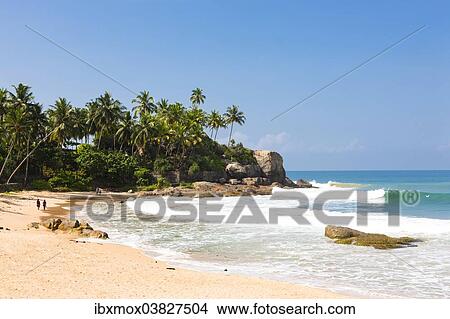 "Beach near Duwemodara, Galle region, Southern Province, Sri Lanka, Asia" View Large Photo Image Picture - "Beach near Duwemodara, Galle region, Southern Province, Sri Lanka, Asia". Fotosearch