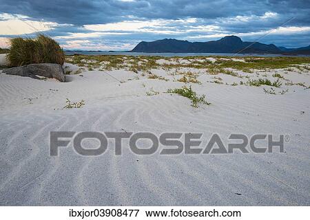 "Beach near Eggum, Vestvagoy, Lofoten, Norway, Europe" View Large Photo Image Stock Photo - "Beach near Eggum, Vestvagoy, Lofoten, Norway, Europe". Fotosearch