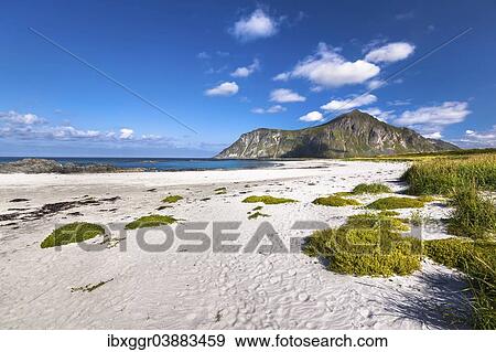 "Beach near Flakstad, Flakstadoya, Lofoten, Nordland, Norway, Europe" View Large Photo Image Stock Photo - "Beach near Flakstad, Flakstadoya, Lofoten, Nordland, Norway, Europe". Fotosearch