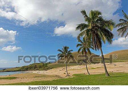 "Beach of Anakena, Rapa Nui, Easter Island, Chile, South America" View Large Photo Image Stock Photograph - "Beach of Anakena, Rapa Nui, Easter Island, Chile, South America". Fotosearch