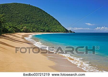"Beach of Plage de Grande Anse, Deshaies, Arrondissement of Basse-Terre, Guadeloupe, France, North America" View Large Photo Image Stock Photo - "Beach of Plage de Grande Anse, Deshaies, Arrondissement of Basse-Terre, Guadeloupe, France, North America". Fotosearch