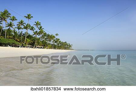 "Beach of Punta Cana, Dominican Republic, Caribbean, North America" View Large Photo Image Picture - "Beach of Punta Cana, Dominican Republic, Caribbean, North America". Fotosearch