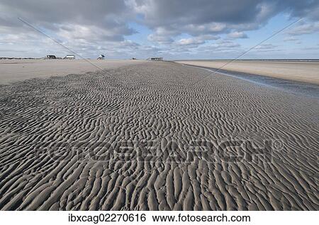 "Beach of Sankt Peter-Ording in the morning sun during low tide with stilt houses on the horizon at back, North Sea beach, Schleswig-Holstein, Germany, Europe" View Large Photo Image Stock Photograph - "Beach of Sankt Peter-Ording in the morning sun during low tide with stilt houses on the horizon at back, North Sea beach, Schleswig-Holstein, Germany, Europe". Fotosearch