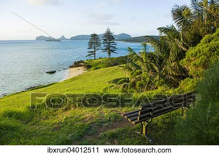 "Beach on a golf course overlooking Lord Howe Island, New South Wales, Australia, Oceania" View Large Photo Image Stock Image - "Beach on a golf course overlooking Lord Howe Island, New South Wales, Australia, Oceania". Fotosearch