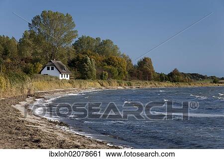 "Beach on Ruegen island, Mecklenburg-Western Pomerania, Germany, Europe, PublicGround, Europe" View Large Photo Image Stock Image - "Beach on Ruegen island, Mecklenburg-Western Pomerania, Germany, Europe, PublicGround, Europe". Fotosearch