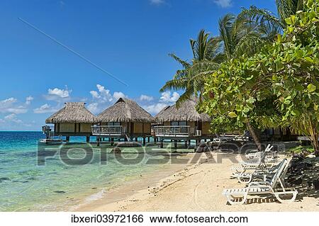 "Beach, overwater bungalows, Bora Bora, French Polynesia, Oceania" View Large Photo Image Stock Photograph - "Beach, overwater bungalows, Bora Bora, French Polynesia, Oceania". Fotosearch