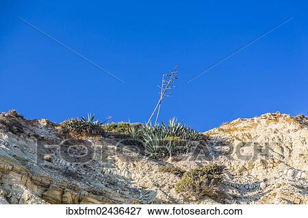 "Beach Praia do Porto de Mos, Algarve, Portugal, Europe" View Large Photo Image Stock Photo - "Beach Praia do Porto de Mos, Algarve, Portugal, Europe". Fotosearch