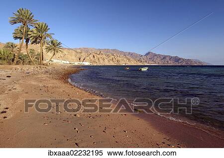"Beach, Red Sea, Egypt, Africa" View Large Photo Image Stock Photography - "Beach, Red Sea, Egypt, Africa". Fotosearch