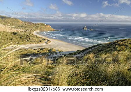 Stock Photograph - "Beach, Sandfly Bay, Otago Peninsula, South Island, New Zealand, Oceania". Fotosearch