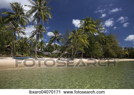 "Beach with coconut trees, Phu Quoc, Vietnam, Asia" View Large Photo Image Stock Image - "Beach with coconut trees, Phu Quoc, Vietnam, Asia". Fotosearch