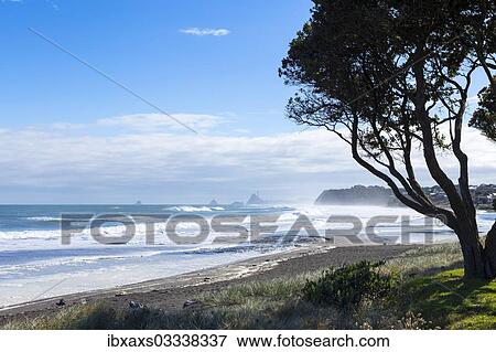 "Beach with surf, views towards New Plymouth, Oakura, Taranaki Region, New Zealand, Oceania" View Large Photo Image Stock Photo - "Beach with surf, views towards New Plymouth, Oakura, Taranaki Region, New Zealand, Oceania". Fotosearch