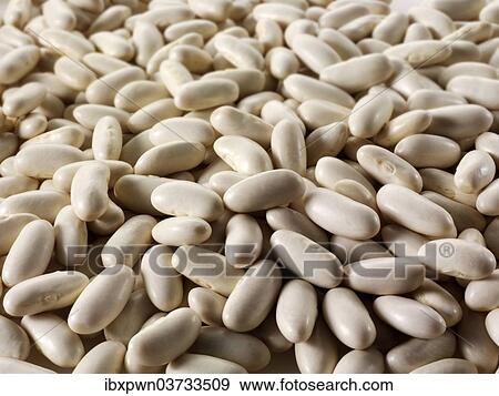 Beans View Large Photo Image Stock Photo - Beans. Fotosearch