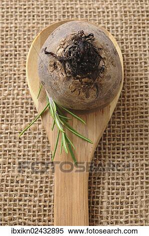 Beetroot on a wooden spoon View Large Photo Image Stock Photography - Beetroot on a wooden spoon. Fotosearch