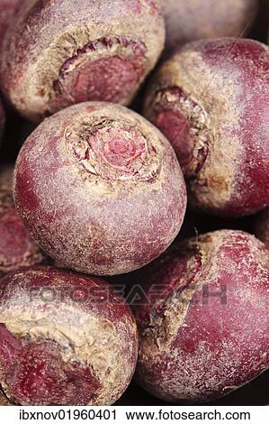 Stock Image - Beetroots. Fotosearch