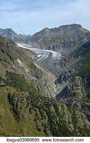 "Belalp tourism region, with views of Aletsch Glacier, Strahlhorn, Eggishorn and Bettmerhorn, Bernese Alps, Canton of Valais, Switzerland, Europe" View Large Photo Image Stock Photography - "Belalp tourism region, with views of Aletsch Glacier, Strahlhorn, Eggishorn and Bettmerhorn, Bernese Alps, Canton of Valais, Switzerland, Europe". Fotosearch