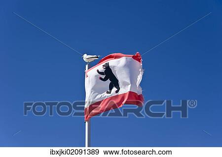 "Berlin state flag at the pier on the south beach, Grossenbrode, Schleswig-Holstein, Germany, Europe" View Large Photo Image Stock Photo - "Berlin state flag at the pier on the south beach, Grossenbrode, Schleswig-Holstein, Germany, Europe". Fotosearch
