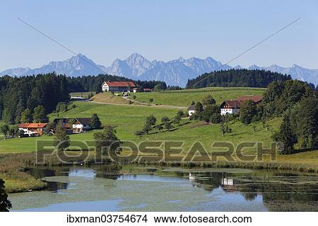 Picture - "Biberschwoeller Lake, Steingaden, Pfaffenwinkel region, Upper Bavaria, Bavaria, Germany, Europe". Fotosearch