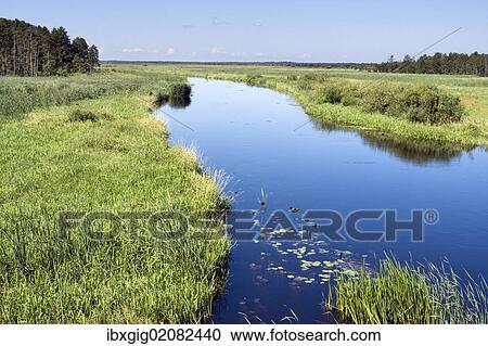 "Biebrza River near Dolistowo Stare, Biebrzanski National Park, Poland, Europe" View Large Photo Image Stock Image - "Biebrza River near Dolistowo Stare, Biebrzanski National Park, Poland, Europe". Fotosearch