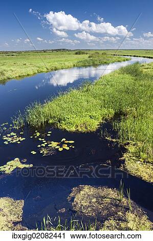 Stock Image - "Biebrza River near Dolistowo Stare, Biebrzanski National Park, Poland, Europe". Fotosearch