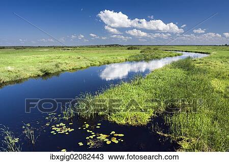 Stock Image - "Biebrza River near Dolistowo Stare, Biebrzanski National Park, Poland, Europe". Fotosearch