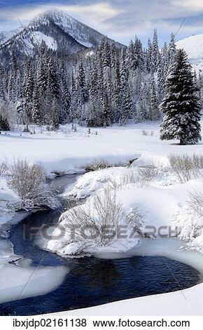 "Big Cottonwood Creek winds through the snow covered Wasatch Mountains at the mouth of Cardiff Fork, Utah, USA" View Large Photo Image Stock Photo - "Big Cottonwood Creek winds through the snow covered Wasatch Mountains at the mouth of Cardiff Fork, Utah, USA". Fotosearch