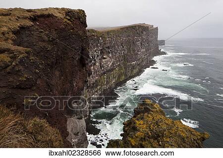 "Bird rock, Latrabjarg Peninsula, West Fjords, Iceland, Europe" View Large Photo Image Stock Photograph - "Bird rock, Latrabjarg Peninsula, West Fjords, Iceland, Europe". Fotosearch