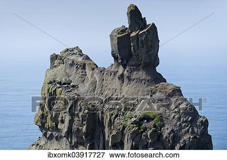 "Bird rock, Mykines, Utoyggjar, Faroe Islands, Denmark, Europe" View Large Photo Image Stock Photo - "Bird rock, Mykines, Utoyggjar, Faroe Islands, Denmark, Europe". Fotosearch