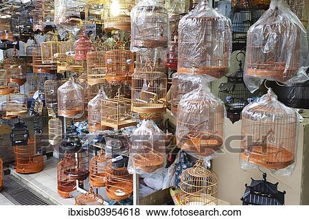 "Birds, cages and accessories on the bird market, Kowloon, Hong Kong, China, Asia" View Large Photo Image Stock Photo - "Birds, cages and accessories on the bird market, Kowloon, Hong Kong, China, Asia". Fotosearch