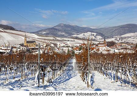 "Birkweiler wine village, behind the Palatinate Forest, Birkweiler, Southern Wine Route, Southern Palatinate, Palatinate, Rhineland-Palatinate, Germany, Europe" View Large Photo Image Stock Photo - "Birkweiler wine village, behind the Palatinate Forest, Birkweiler, Southern Wine Route, Southern Palatinate, Palatinate, Rhineland-Palatinate, Germany, Europe". Fotosearch