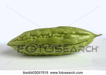 Bitter cucumber View Large Photo Image Stock Photo - Bitter cucumber. Fotosearch